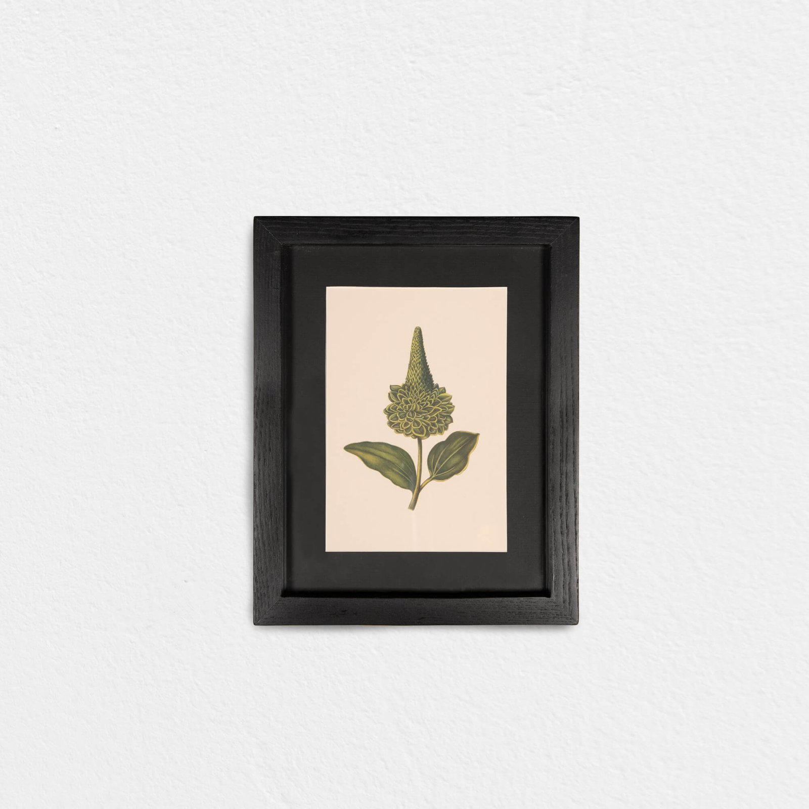 6-3 Verdant Sage Crown - Image 1